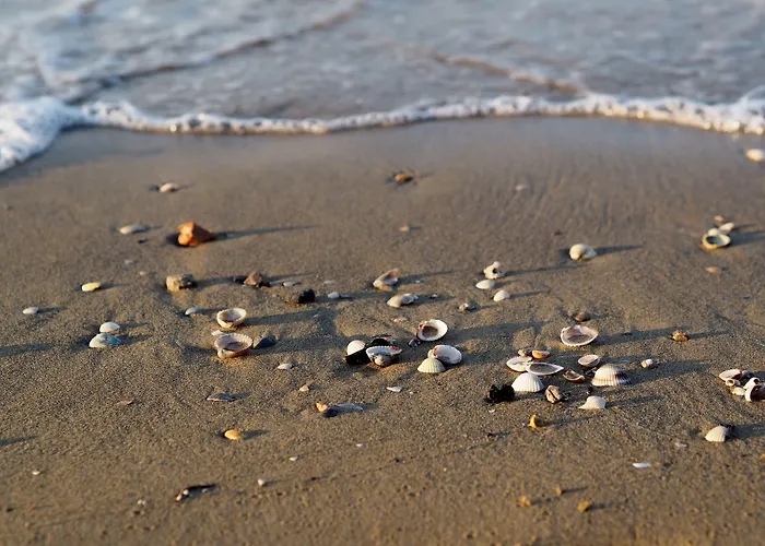 Renewed Two-roomed Flat With Swimming Pool * Бібіоне